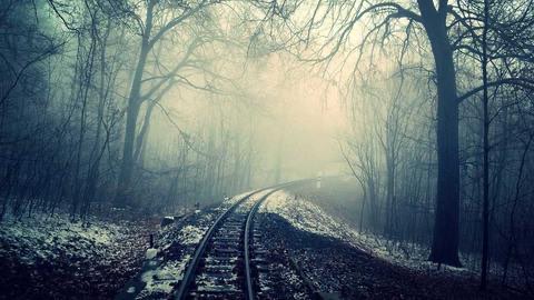 Railway tracks disappearing into a foggy forest